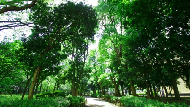 戸山公園